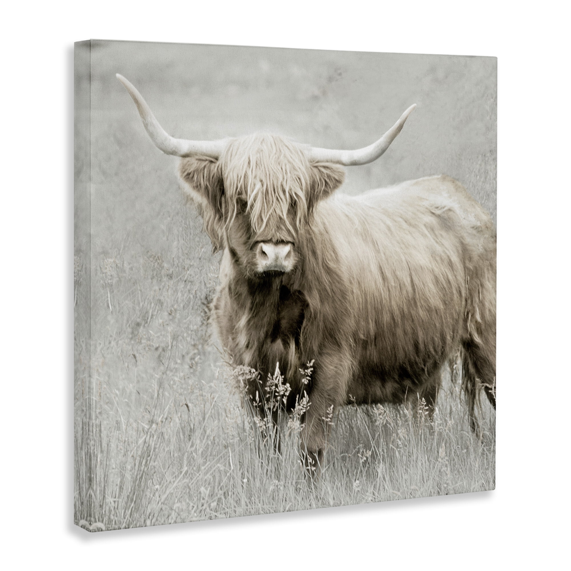 Stupell Industries Subtle Longhorn Cattle Animals & Insects Painting Gallery Wrapped Canvas Art Print Wall Art, 17 x 17