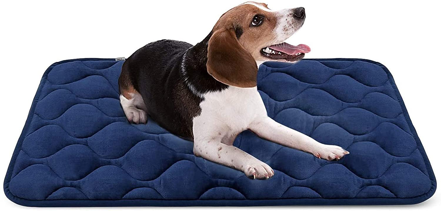 dog bed with washable cover