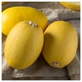 thumbnail image 3 of Everwilde Farms - 20 Organic Vegetable Spaghetti Winter Squash Seeds - Gold Vault Jumbo Bulk Seed Packet, 3 of 5