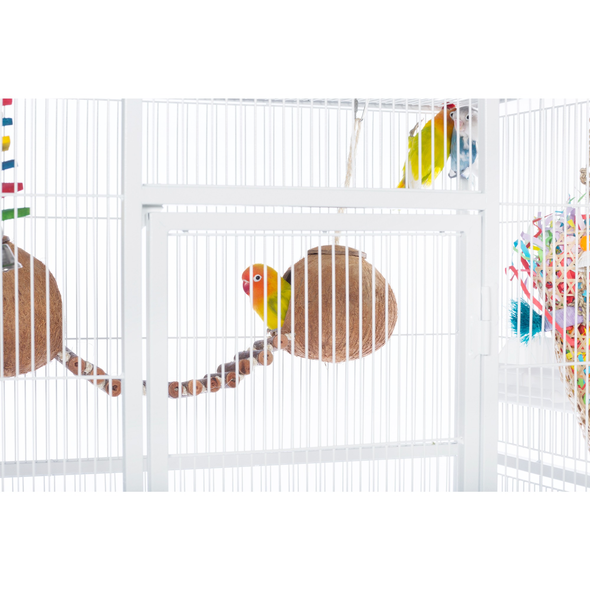 Prevue Pet Products Naturals Double Coconut with Ladder Bird Toy 62818