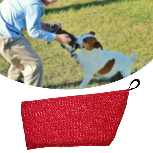 Dog training arm protection online