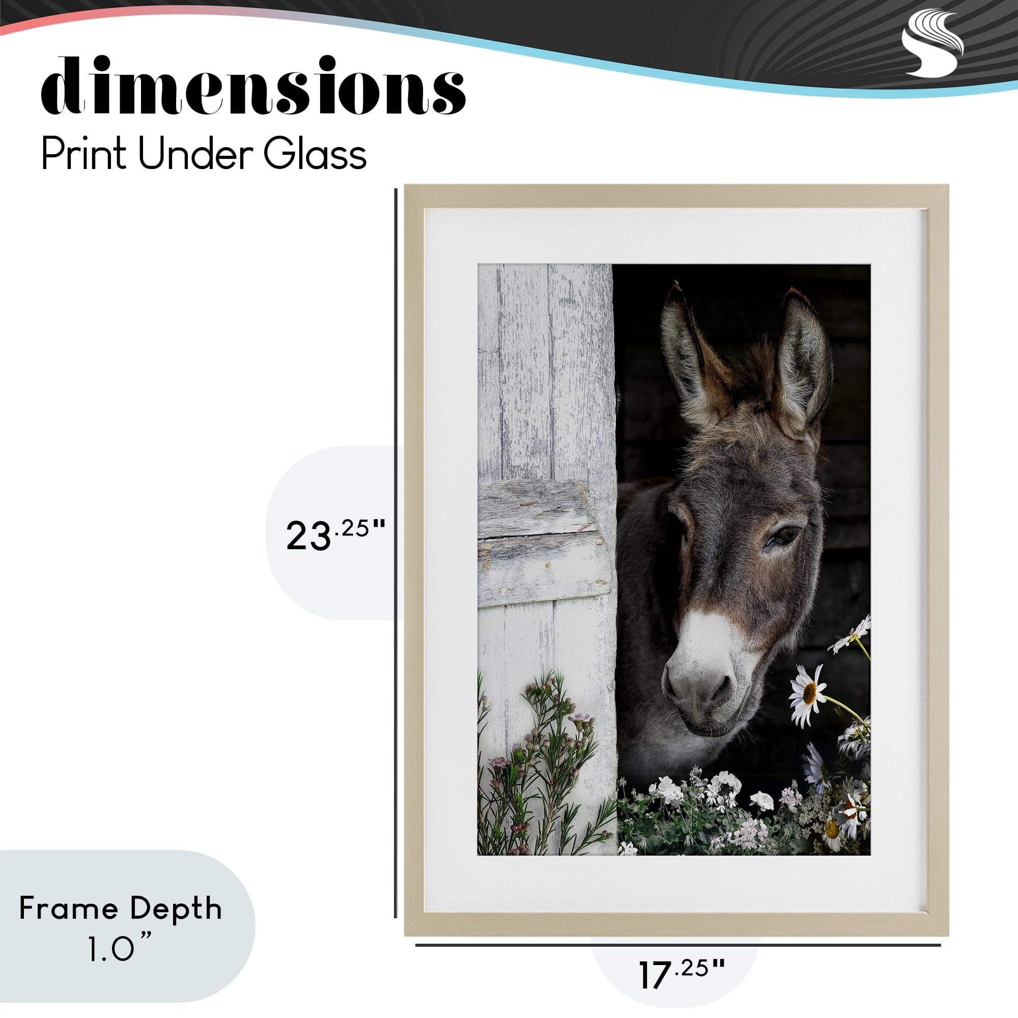 Stupell Industries Gentle Donkey Peering from Barn Birch Framed Print Under Glass, design by CAD Designs