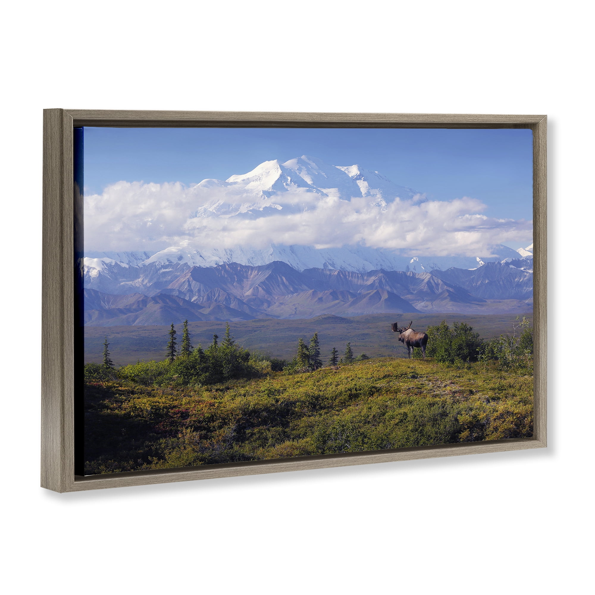 Stupell Industries Mountain Majesty Moose Landscape & Nature Photography Brown Floater Framed Canvas Art Print Wall Art, 31 x 21