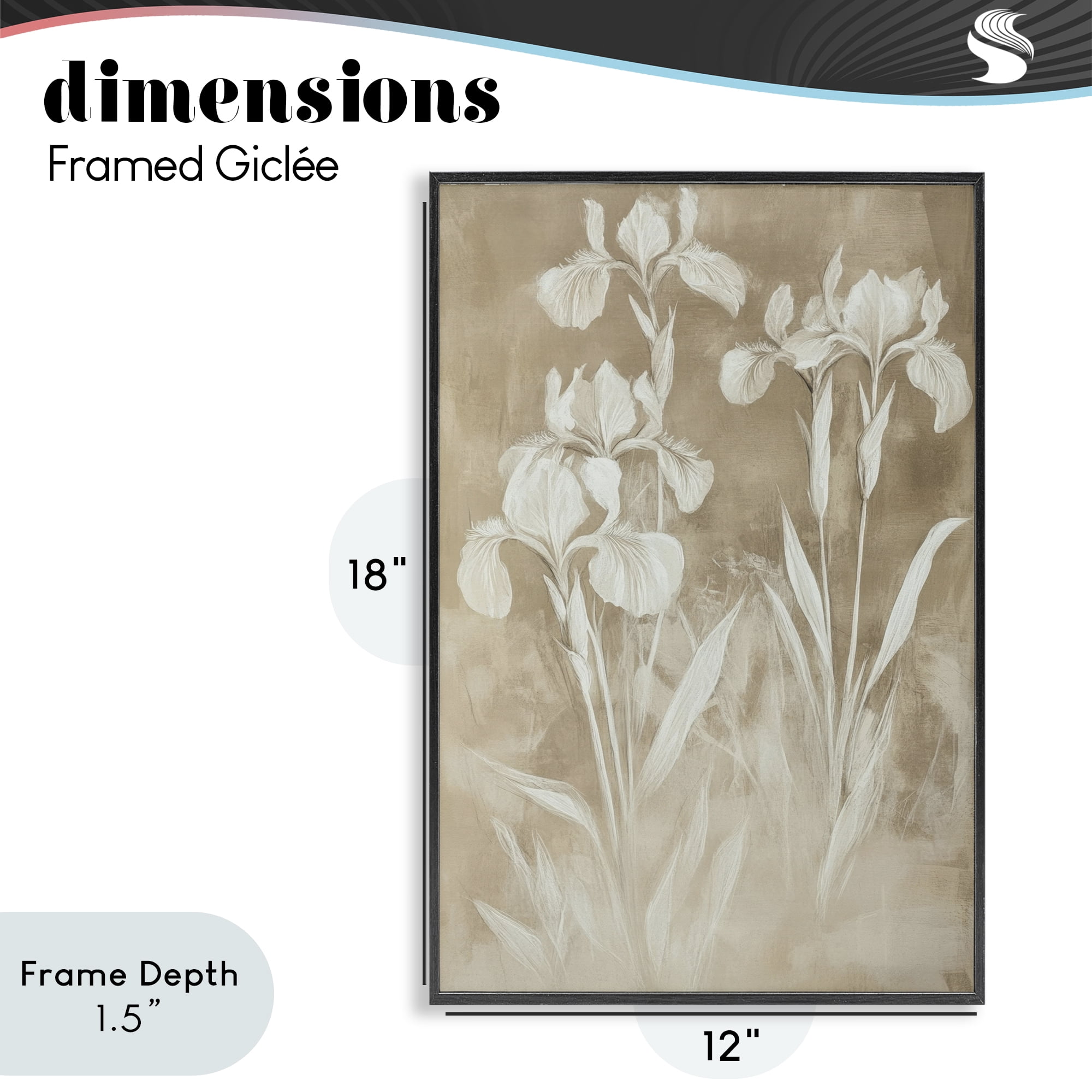 Stupell Industries Neutral Iris Botanical Study Black Framed Giclee Art, design by Petal Prints Design