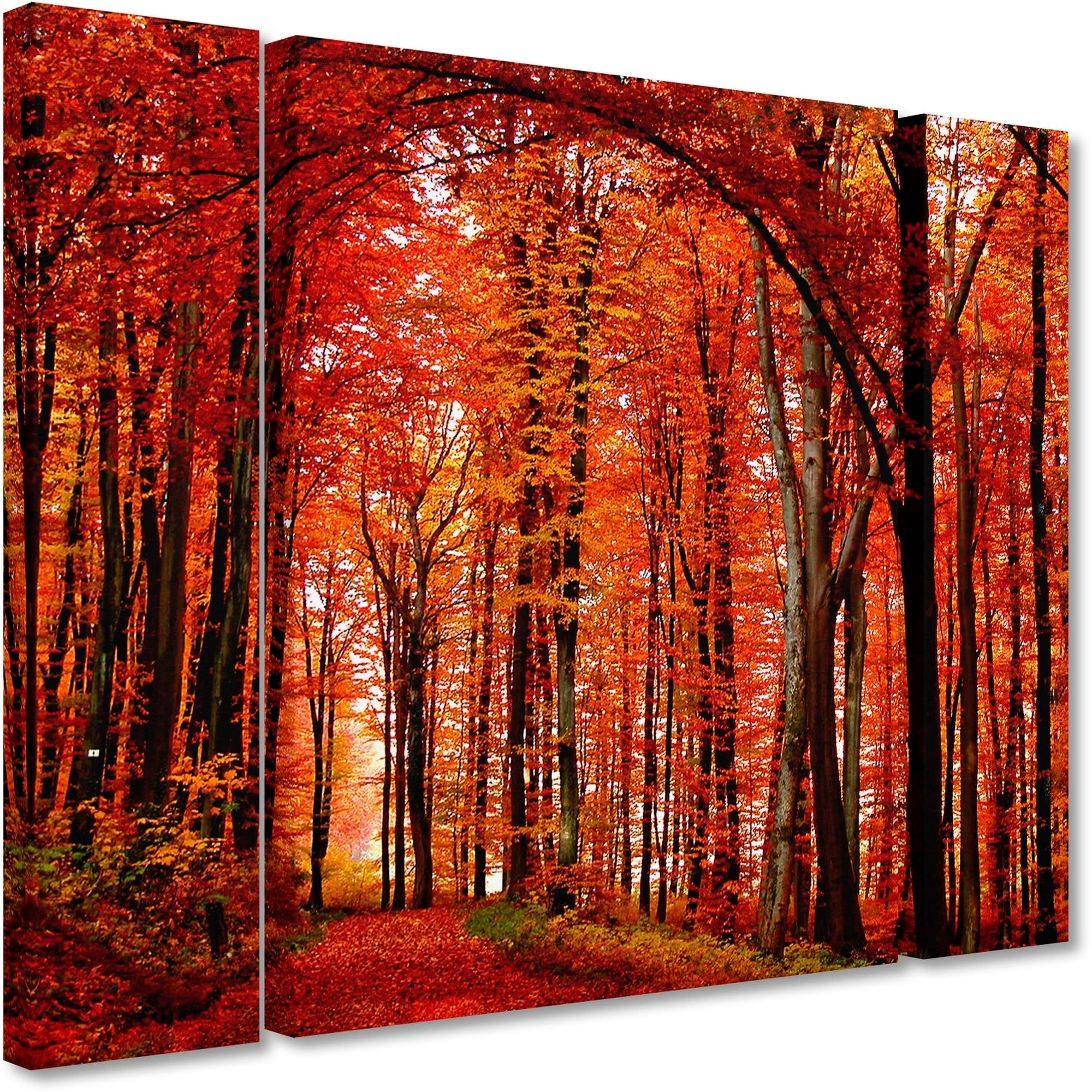 Trademark Fine Art "The Red Way" Canvas Art by Philippe Sainte-Laudy Three Panel Set