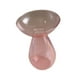 thumbnail image 5 of Jarrón hidropónico de vidrio, estación de propagación de plantas simple, jarrón decorativo Rosa, 5 of 9