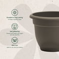 thumbnail image 4 of Bloem Ariana 8" Self-Watering Plastic Planter - Rolled Rim Indoor/Outdoor Garden Pot, Peppercorn, 4 of 7