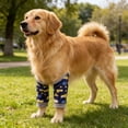 thumbnail image 3 of Dog Elbow Pads – Knee Wrap Front Leg Sleeves For Large Dogs, Wound Protection & Anti-Licking Brace For Injured Legs Or Joints (Large, A, 3 of 4