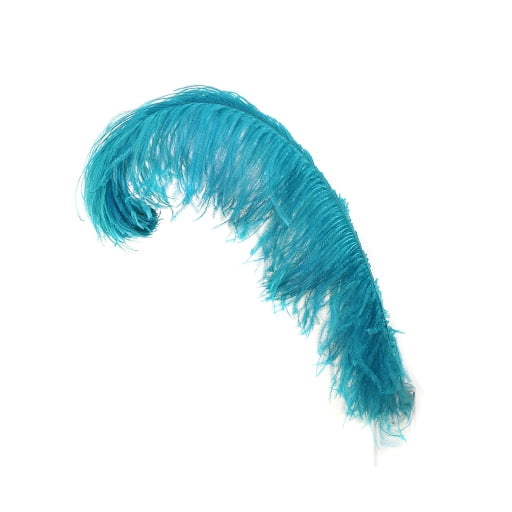 aqua ostrich feathers