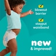 thumbnail image 3 of Pampers Baby Dry Baby Diapers Size 3, 104 Count (Select for More Options), 3 of 15