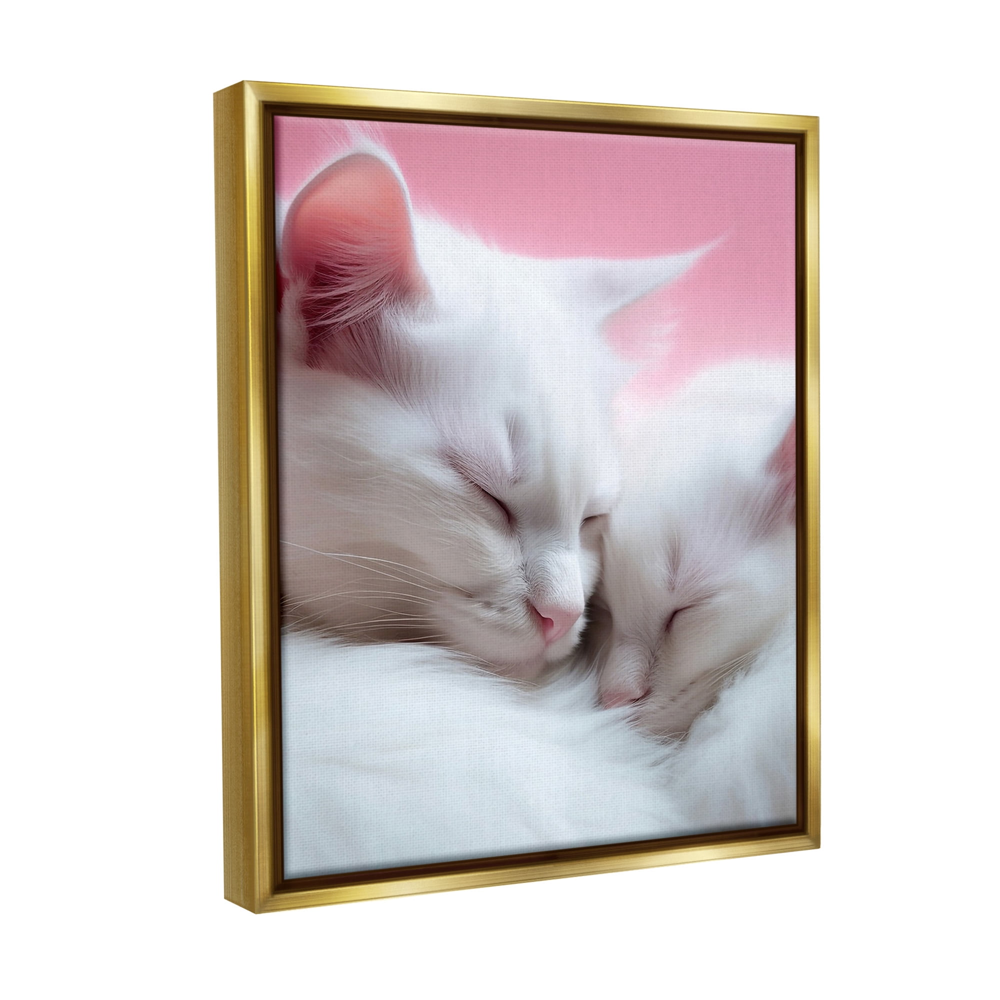 Stupell Industries Sleeping Cats on Pink Animals & Insects Painting Gold Floater Framed Canvas Art Print Wall Art, 17 x 21