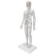 thumbnail image 3 of Acupuncture Meridians Model, PVC Acupuncture Model White  For Medical School For School For Teaching For Classroom ANGGREK Acupuncture Needle Model Set, 3 of 8