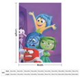 thumbnail image 2 of Manta de tela de superficie vertical súper suave de varios tamaños de Inside Out, acogedora y cálida, adecuada para cama, sofá, campamento, viajes, para todas las estaciones, liviana y compacta de 50, 2 of 8