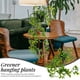 thumbnail image 2 of 3 plantas colgantes artificiales con macetas, enredaderas colgantes artificiales, plantas colgantes en macetas verdes, 2 of 8