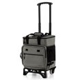 thumbnail image 1 of Costway 3 en 1 Carro Nevera Grande de Ruedas 40L Aislamiento Térmico y Antifugas con Bolsa Desmontable Asa Placa Inferior para Camping Picnic, 1 of 10