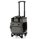 thumbnail image 1 of Costway 3 en 1 Carro Nevera Grande de Ruedas 40L Aislamiento Térmico y Antifugas con Bolsa Desmontable Asa Placa Inferior para Camping Picnic, 1 of 10