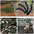 thumbnail image 5 of 40PCS Fruit Tree Shaper Branch Bender Plant Trainer Bending Clips Twig Clamps Bonsai Shaped Twig Clip Bending Tool, 5 of 5