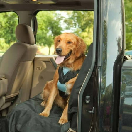 What Can I Give My Dog For Car Ride Anxiety What Can I Give My Dog For Car Ride Anxiety