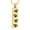 Gold, variant on Pet Paw Print Urn Necklace for Ashes Bar Cremation Necklace for Ashes Memory Jewelry for Women Men for Dog/Cat Pet Memorial Keepsake Jewelry