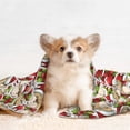 thumbnail image 4 of Yiaed Christmas Hat bear Print Dog Blankets-Cat Blanket Washable for Couch Protection,Puppy Blanket, Soft Plush Reversible Throw Furniture Protector-, 4 of 8