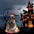 thumbnail image 6 of Honeii French Bulldog In Sunglasses Print Poncho Cape, Cloak Coat, Snuggly Hooded Wearable Blanket, Hooded Cape For Teenagers,Halloween Costumes-Small, 6 of 7