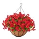 thumbnail image 1 of Plantas decorativas en cesta colgante, arreglo floral artificial para porche. Rojo, 1 of 9