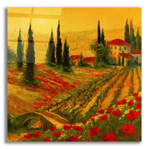 Epic Art 'Poppies of Toscano I' by Art Fronckowiak, Acrylic Glass Wall Art, 12"x12"