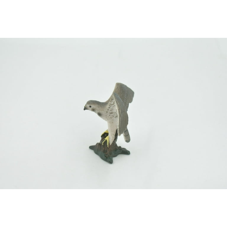 Bird, Falcon, Genus Falco, Peregrine, Museum Quality, Hand Painted