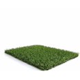 thumbnail image 1 of Césped Artificial Terraza Plus 22mm - Rollo Ideal para terraza y jardín. Fácil Instalación - Rollo: 2x1 metros, 1 of 5