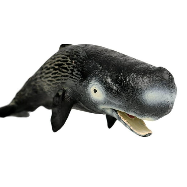 Vogacara Figures Animals Shark Sea Life Marine Juguetes educativos para niños Cachalote A Juguetes Cachalote C