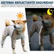 thumbnail image 4 of Impermeable para Perro, Chaqueta de Lluvia Ajustable con Capucha Transparente de Doble Capa, 4 of 4