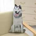thumbnail image 1 of Xihbxyly Cojín con Temática de Perros, Tela de Algodón Suave, Decoración Tropical de Playa y Piscina, Cómodo Cojín Reclinable para Exteriores, Versátil para Uso En Casa y Coche, Fácil de Limpiar, Tam, 1 of 7