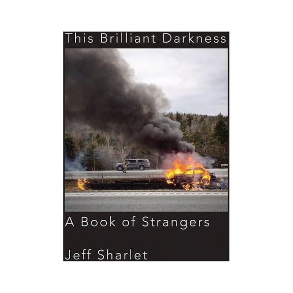 This Brilliant Darkness: A Book of Strangers (Hardcover)