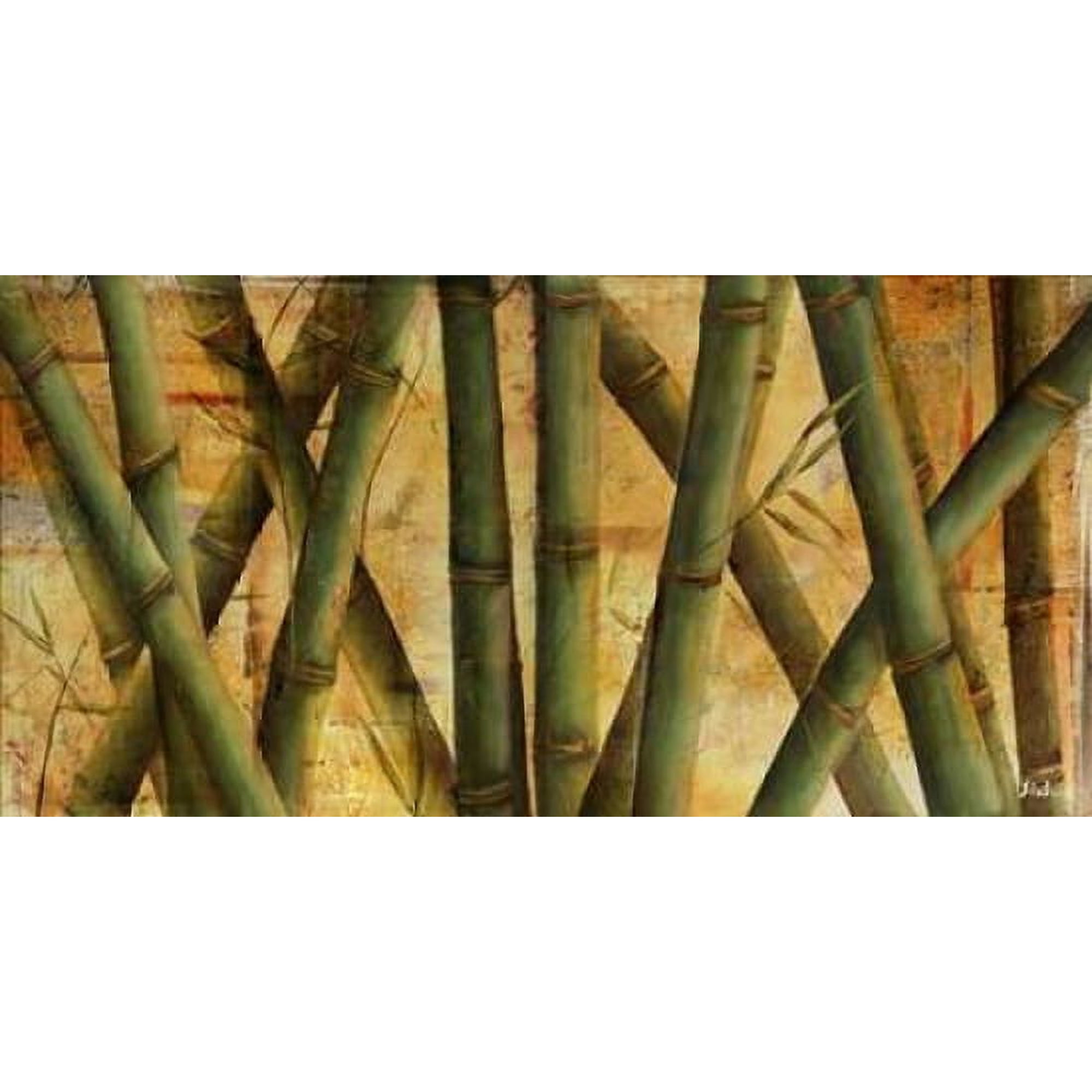 Bamboo Forest I Poster Print by Patricia Pinto (10 x 20)