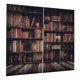 thumbnail image 1 of Yosooo 2 tama?os de Cortinas Opacas, Cortina de Ventana de poliéster Estantería 3D Cortinas de Sombra Impresas Cortinas para Dormitorio Sala de Estar decoración(170 * 200cm) Ecomeon no, 1 of 6