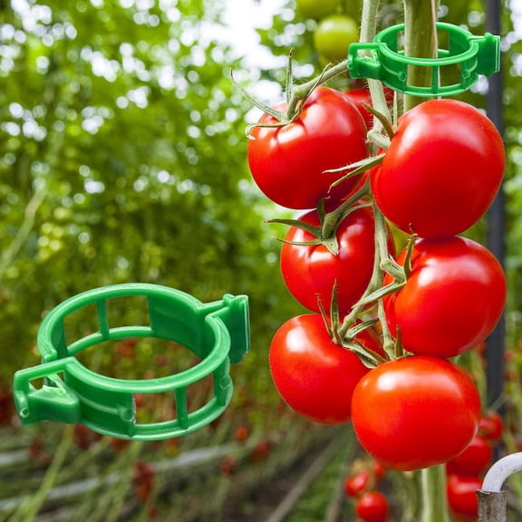 300Pcs Tomato Clips, Plastic Trellis Clips Plant Support Clips, Plant Clips for Support, Grape Vine, Tomato Vine, Vegetables Plants, Garden Clips to Grow Upright Makes Plants Healthier (Green)
