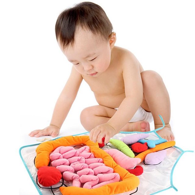 Children's educational science teaching human organs apron Educational Insights Toys For kids Preschool Science Home SchoolA He Qiyong unisex