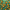 Orange Tree Pattern, variant on Yayeee Window Curtains Set of 2 for Living Room Light Filtering 63"x42", Green Birds