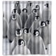 thumbnail image 1 of ABPHQTO Lovely Funny Penguins Cortina de ducha Impermeable Cortina de ducha 160x180 cm, 1 of 2