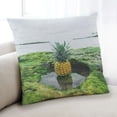 thumbnail image 1 of Ahgly Company Foods Pineapple Coussin d'Intérieur, 18 Pouces par 18 Pouces, 1 of 6