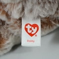 thumbnail image 6 of Ty Beanie Bellies-TY41036 Stubby Monkey Soft Toy, 15 cm, TY41036, Brown, Beige, Small, 6 of 6