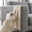 White, variant on Rijanmt Cat Scratching Board,Wall Mounted Pad Kitty Climbing Scratching Mat,Cat Scratch Pad,Kitten Scratcher Interactive Toys,No Debris,Lint Free,Furniture Protector for Door,Wall,Couch,White,Medium
