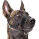 thumbnail image 1 of Bozal para perro, acolchado suave de nailon, lazo ajustable, negro, 1 of 5