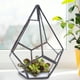thumbnail image 4 of Terrario geométrico irregular de cristal poliedral, terrario, terrario, maceta, maceta, decoración paisajística Ecomeon  no, 4 of 6