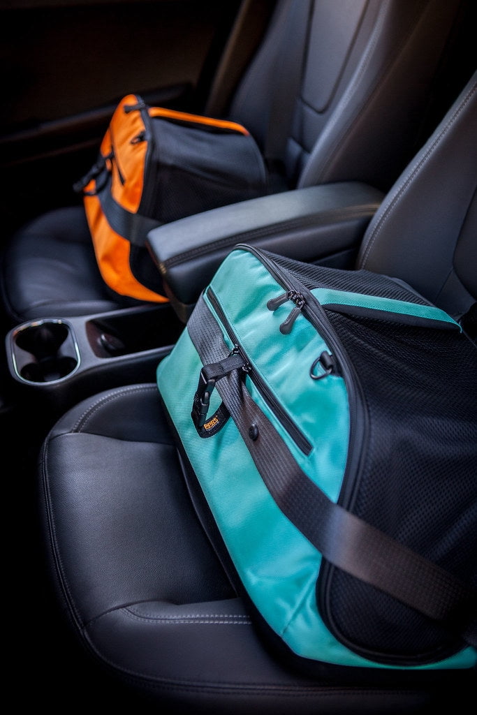 Sleepypod Air - Airline Approved Carrier and Crash-Tested Car Seat for Cats and Dogs up to 18 lbs. (Robin Egg Blue)