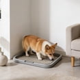 thumbnail image 1 of Dog Potty Tray For Small Medium Dogs With Removable Reseau Disclose Proof Base Plain Clean Pet Litter Box Portable Dog Litter Box For Apartment Balcony Travel, 1 of 6