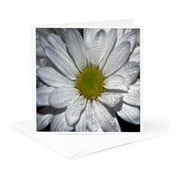 3dRose, When You Wish Upon A Star. Graphic Art Design of a Fairy at Night wishing upon the stars, 1 Greeting Card with envelope