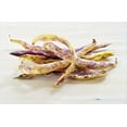 thumbnail image 3 of 50 Seeds DRAGON TONGUE Wax BEAN Yellow & Purple Dragon's Tongue Phaseolus Vulgaris Legume Vegetable Seeds, 3 of 8