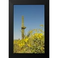 thumbnail image 2 of Popcorn 10x14 Black Modern Framed Museum Art Print Titled - Desert Scape 3, 2 of 5