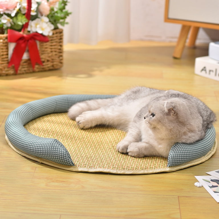 Summer hotsell cat bed